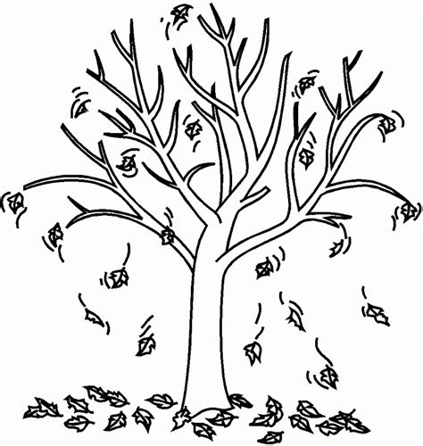 fall tree coloring pages coloring home
