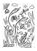 Colouring Minibeasts Sheet Resources Early Years sketch template