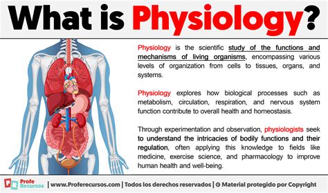 physiology definition  physiology