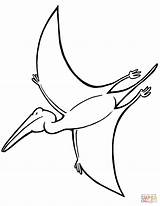 Pterodactyl Coloring Pages Drawing Printable Dinosaurs Wufoo sketch template