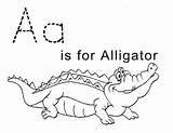 Alligator Sheet Letter Preschoolers sketch template