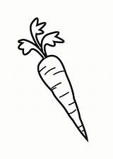 Carrot Zanahoria Dibujo Colorear Para Wortel Carotte Kleurplaat Coloriage Fargelegge Clipart La Bilde Dessin Coloring Pages Dibujos Fargelegging Imprimir Imprimer sketch template