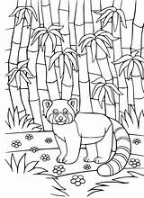 Bamboo sketch template