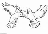 Coloring Pages Two Air Birds Animals Pigeons Fly sketch template