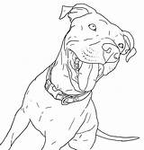 Pitbull Coloring Pages Dog Drawing Printable Puppy Taking Puppies Walk Pit Bull Sheet Cute Educativeprintable Educative Getdrawings Colorir Step Choose sketch template