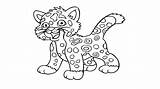 Tiger Coloring Pages Printable Baby Cute Library Clipart Popular Getdrawings Getcolorings Without Stripes Coloringhome sketch template
