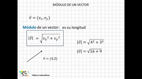 modulo vector modulo