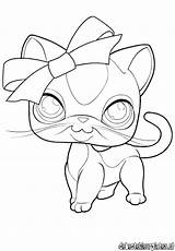 Lps Coloring Pages Pet Shop Littlest Cat Drawings Printable Collie Cats Kids Easy Sheets Fox Colouring Kleurplaat Pets Little Coloriage sketch template