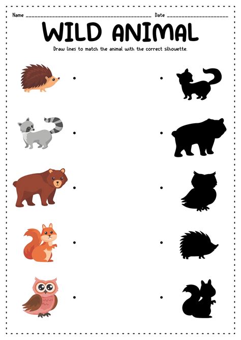 images  animals kindergarten worksheet printables