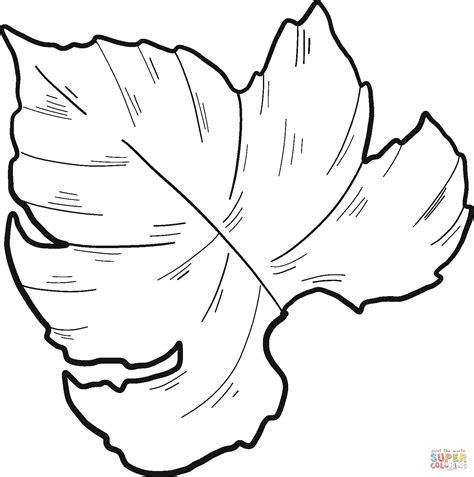 grape leaf coloring page  printable coloring pages