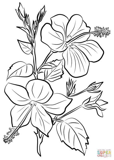 ideas wood burning patterns flowers  printable