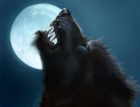 werewolf  cured  eradicating  maker  mystic