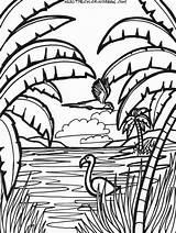 Desenhos Colorir Flamingo Rainforest Modelos Jungle Boneca Impressão sketch template