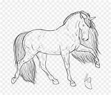 Cheval Frison Poulain Coloring Gypsy Horses Herd Getdrawings Standardbred Clydesdale Foal Tête Masque Licorne sketch template