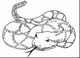 Coloring Pages Viper Snake Getcolorings Printable Color sketch template