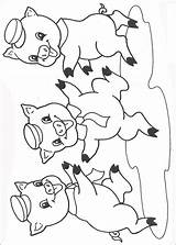 Schweinchen Drei Kleinen sketch template