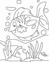 Fish Coloring Pages Rainbow Floating Pdf Getcolorings Getdrawings Color Photograph sketch template