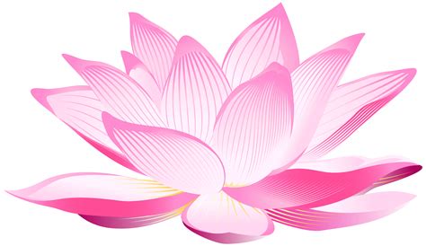 lotus flower png image purepng  transparent cc png image library images   finder