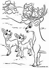 Rudolph Rudolf Ausmalbilder Desenhos Coloriage Colorir Renne Rouge Nez Reindeer Naso Colorat Nosed Rentier Nariz Rena Cucciolo Roten Nase Malvorlagen sketch template