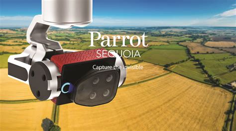 parrot sequoia la camera   euros pour drone qui simplifie la vie des agriculteurs frandroid