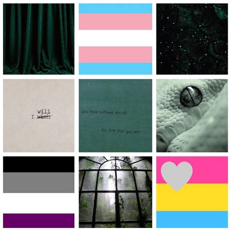 Aroacehogwarts Headcanons — Lgbt Mood Transgender Panromantic Asexual