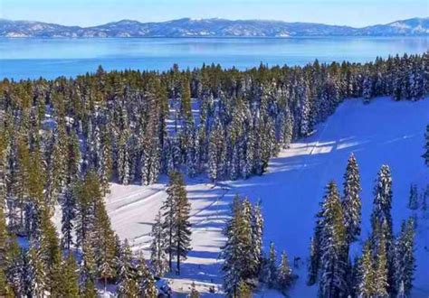 home ski california  unified voice   ski industry  california  nevada