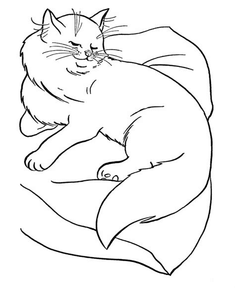 printable cat coloring pages  kids home family style