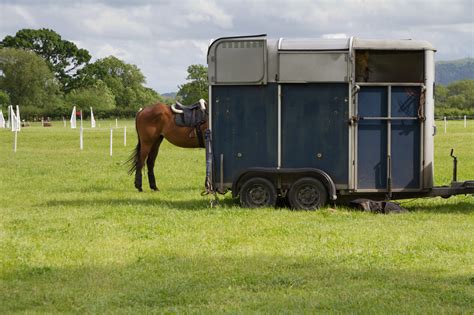effective tips  load  horse trailer  safely  quickly