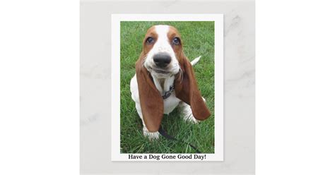 dog  good day postcard zazzle