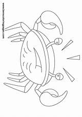 Crab Coloring Handout Below Please Print Click sketch template