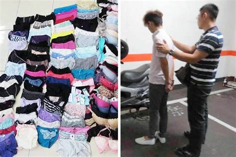 pervy panties thief kept museum of stolen ladies underwear like a