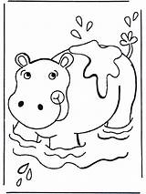 Coloring Hippo Nilpferd Ippopotamo Hippopotame Bambini Wasser Malvorlagen Hipopotamo Disegni Flusspferd Nijlpaard Ausmalbild Hippopotamus Kleurplaten Nellacqua Hipopotama Leau Dierentuin Rinoceronte sketch template