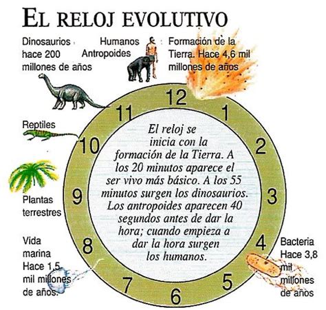 La Evolucion De Los Seres Vivos Relacion Entre Las Eras Geologicas Y La