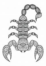 Scorpion Coloring Pages Printable Color Getcolorings Print sketch template