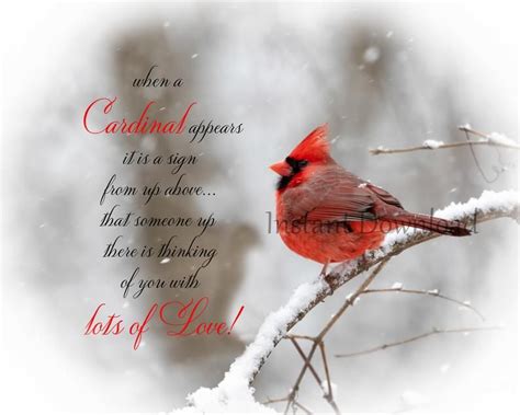 cardinal love poem printable cardinal print sign red bird etsy