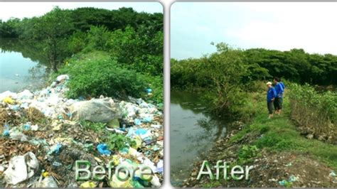 environment improvement and restoration and sustainable development of mangroves ecosystem in
