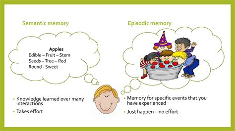 memory  memories teaching  long term learning primarytimerydotcom