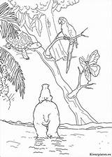 Kleine Ijsbeer Lars Colorir Kleurplaten Desenhos Ursinho Avontuur Kleurplaat Osito sketch template