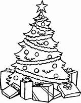 Tree Christmas Coloring Pages Presents Drawing Book Printable Print Under Merry Xmas Choose Board sketch template