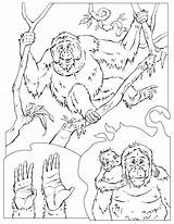 Chimpanzee Coloring Getdrawings sketch template