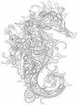 Seahorse Mandalas Sea Seepferdchen Stress Erwachsene Ausdrucken Kindle Jellyfish Invasion Disegni Seahorses Zentangle Zeichnung Malbuch Laminas Therapy Kolibri Strichzeichnung Animalitos sketch template