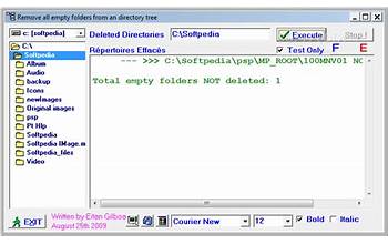 Delete Empty Folders screenshot #2