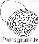 Pomegranate Coloring Getcolorings sketch template