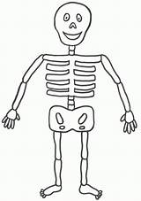 Skeleton Coloring Kids Printable Pages Halloween Template Human Simple Print Crafts Easy Large Esqueleto Cute Colouring Craft Sheet Humano Cliparts sketch template