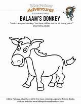 Donkey Bible Coloring sketch template