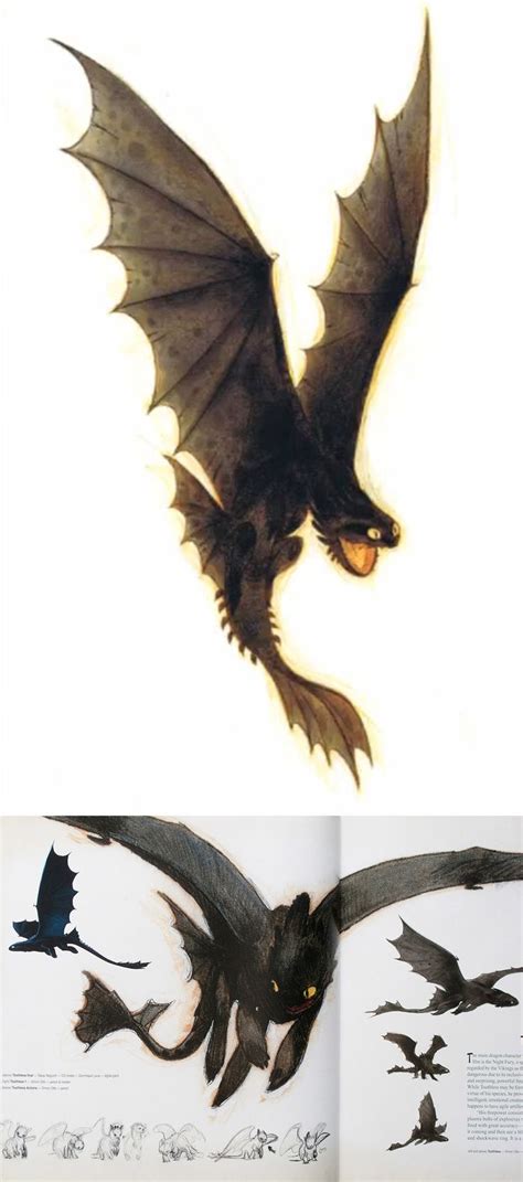 17 Best Images About How To Train Your Dragon On Pinterest