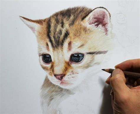 cute kittens  puppies drawings puppy drawing pencil drawings