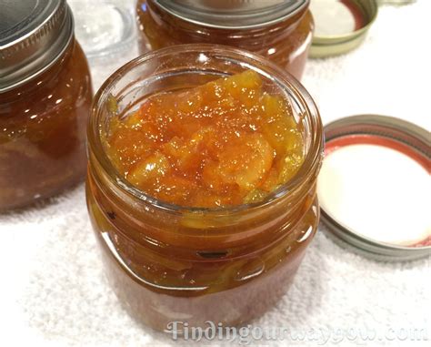 orange marmalade recipe finding