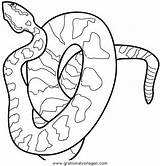 Serpente Schlangen Ausmalbilder Snakes Serpenti Malvorlagen Schlange Malvorlage Copperhead sketch template