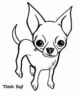 Chihuahua Coloring Pages Dog Big Think Chihuahuas Puppy Print Netart Color Drawing Cute Dogs Line Only Bow Choose Board Search sketch template